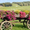 HOTEL FUNIVIA Bormio Italija 5